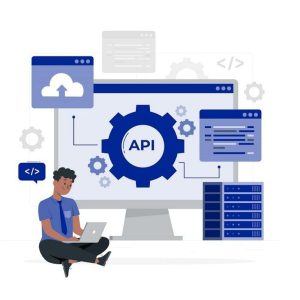 4d0191ec96622626c52b9691c74d677e API Development and Process Automation Support